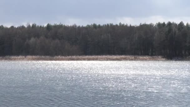 eau scintillante à la surface du lac au printemps .