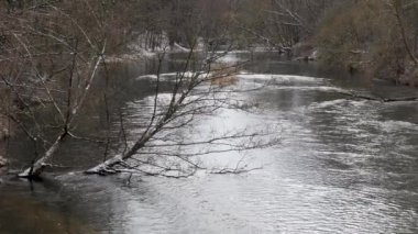 baharın başlangıcı. çalılıkları arasında vahşi hızlı Nehri