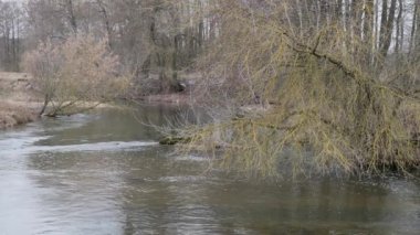 baharın başlangıcı. çalılıkları arasında vahşi hızlı Nehri