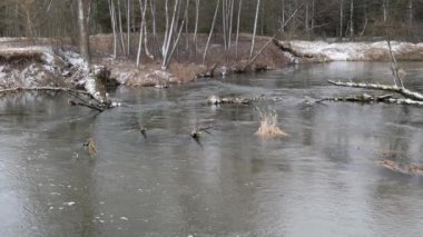 baharın başlangıcı. çalılıkları arasında vahşi hızlı Nehri