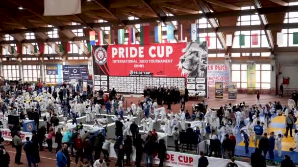 Gomel Białoruś Marca 2019 Międzynarodowe Duma Cup Turniej Judo — Wideo stockowe