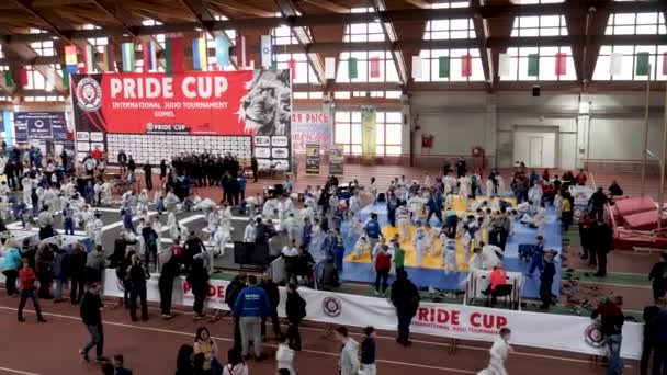 Gomel Białoruś Marca 2019 Międzynarodowe Duma Cup Turniej Judo — Wideo stockowe