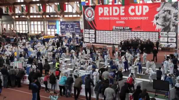 Gomel Belarus Mars 2019 Iie Tournoi International Coupe Fierté Judo — Video