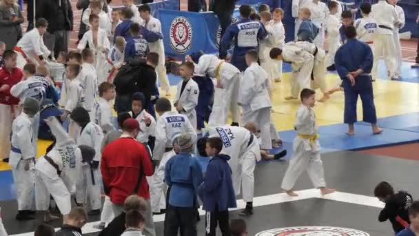 Homel Wit Rusland Maart 2019 International Trots Cup Toernooi Judo — Stockvideo