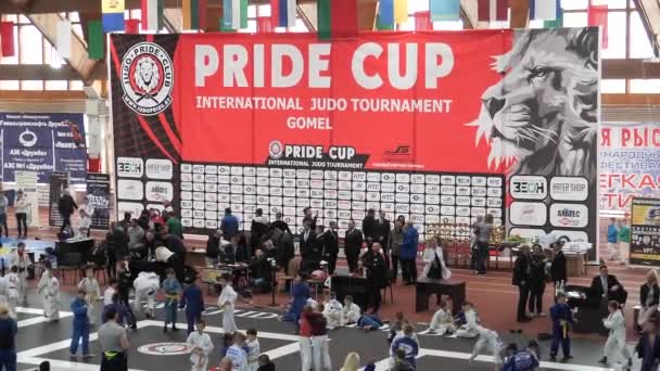 Gomel Belarus Março 2019 Torneio Internacional Copa Orgulho Judô — Vídeo de Stock