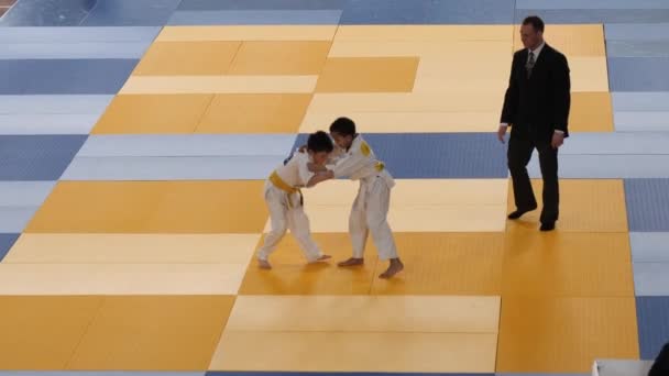 Gomel Vitryssland Mars 2019 International Pride Cup Turneringen Judo — Stockvideo