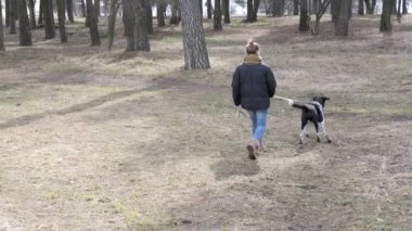 Kız baharda büyük bir kör köpek yürüyüş