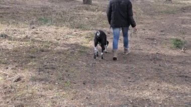 Kız baharda büyük bir kör köpek yürüyüş