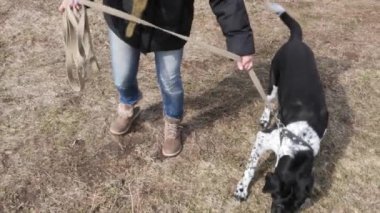 Kız baharda büyük bir kör köpek yürüyüş