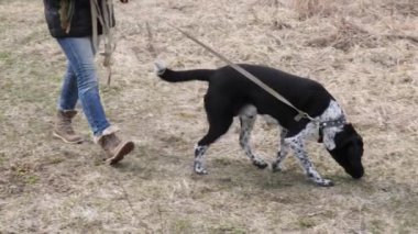 Kız baharda büyük bir kör köpek yürüyüş
