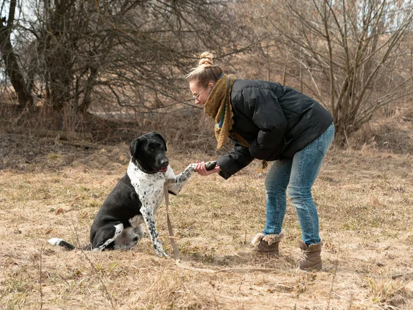 Chica caminando un gran perro ciego en la primavera —  Fotos de Stock