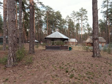 kamp ateşi için donatılmış bir yer. güzel tezgah.