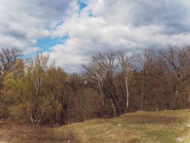 Bulutlar ormanın üzerinde süzülüyor. baharda