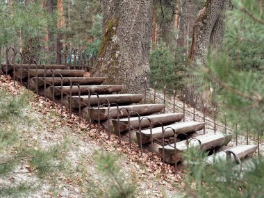 büyük ağaç kenevir yapılan eko yol