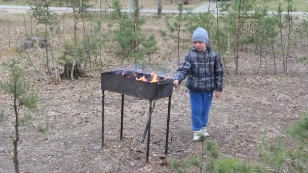 Boy Cooks Food Fire Grill Country Rest — Stock Video