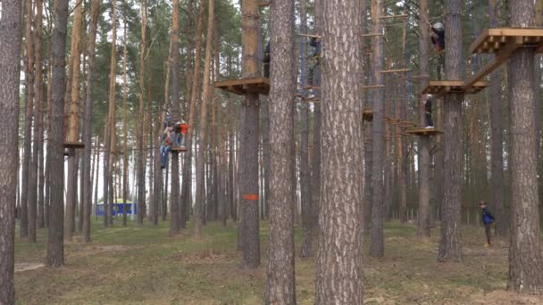 戈梅尔 白俄罗斯 2019年4月21日 紧急情况部的Lyceum 在树上为训练学员的绳索镇障碍课程 — 图库视频影像