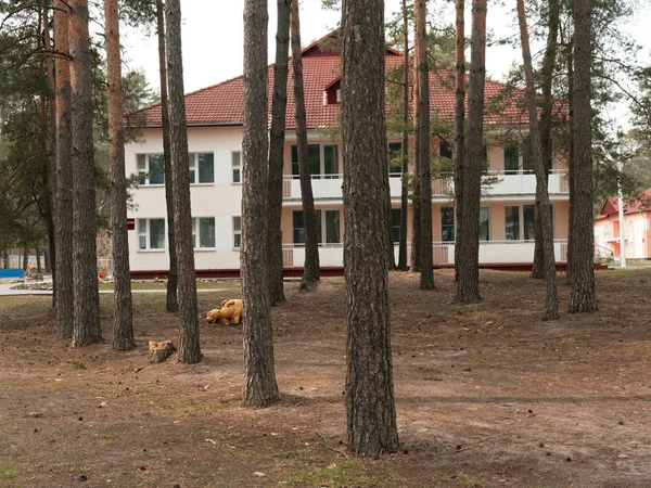 Gomel, Bělorusko-21. duben 2019: lyceum ministerstva mimořádných situací. Území se vzdělávacími budovami a kasárna. — Stock fotografie