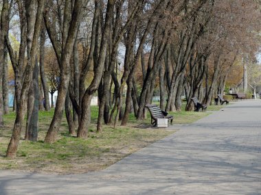 Yaz parkında sıcak bir akşam, dinlenmek için boş bir bank.