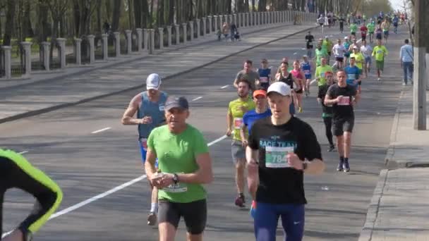 Гомель Білорусь Квітня 2019 Ecomarathone 2019 Пройшло Гомелі — стокове відео