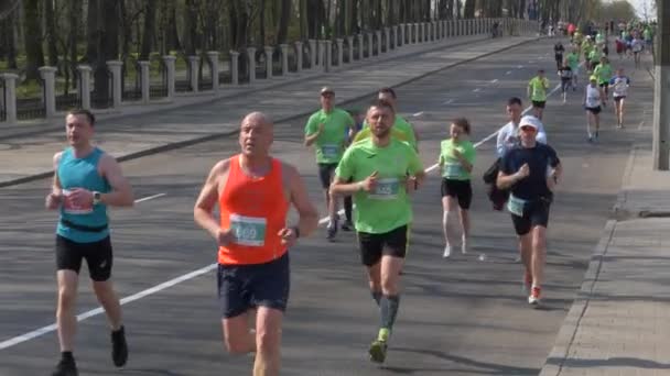 Gomel Beyaz Rusya Nisan 2019 Ecomarathone 2019 Gomel Geçti — Stok video