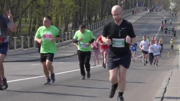 Gomel Weißrussland April 2019 Ecomarathone 2019 Gomel Bestanden — Stockvideo