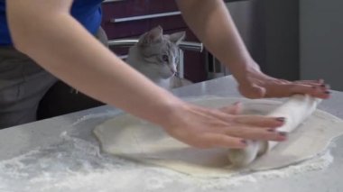 evde lezzetli pizza pişirme. haddeleme hamuru