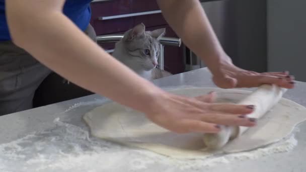 Cozinhar pizza deliciosa em casa. massa de rolamento — Vídeo de Stock