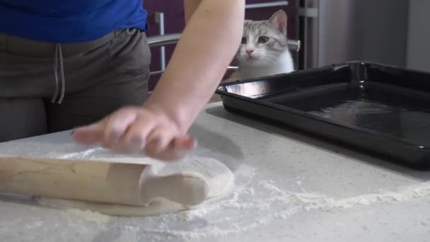 Kochen leckere Pizza zu Hause. Teig rollen — Stockvideo