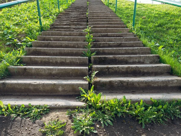 yeşil çim dik bir yamaç üzerinde beton merdiven