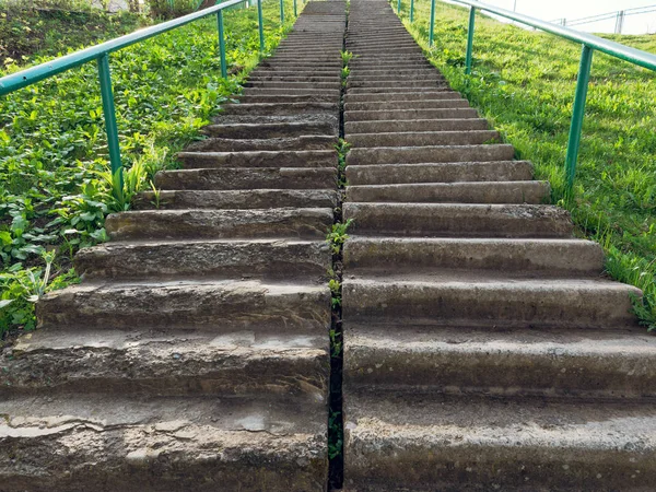 녹색 잔디의 가파른 경사면에 콘크리트 계단 — 스톡 사진