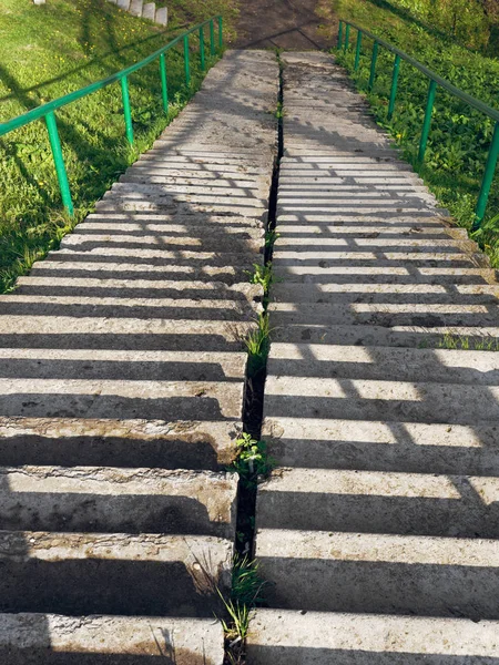 Beton lépcsőház egy meredek zöld fű lejtőn — Stock Fotó