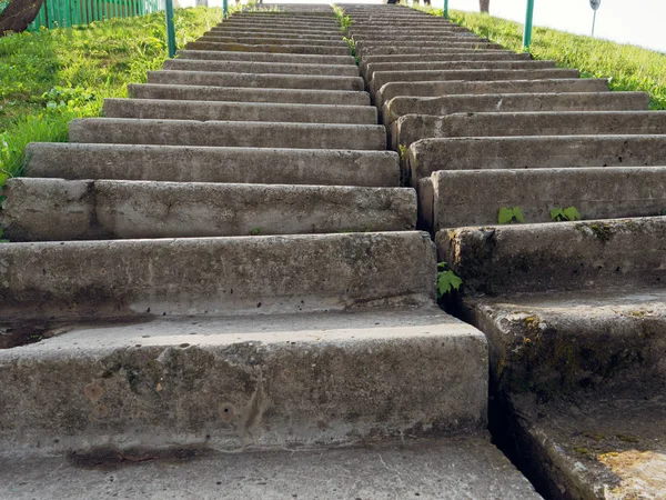 Escalera de hormigón en una empinada pendiente de hierba verde — Foto de Stock