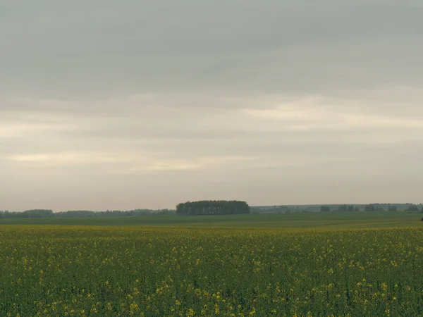 Mal tiempo nubes sobre el campo de primavera — Foto de Stock