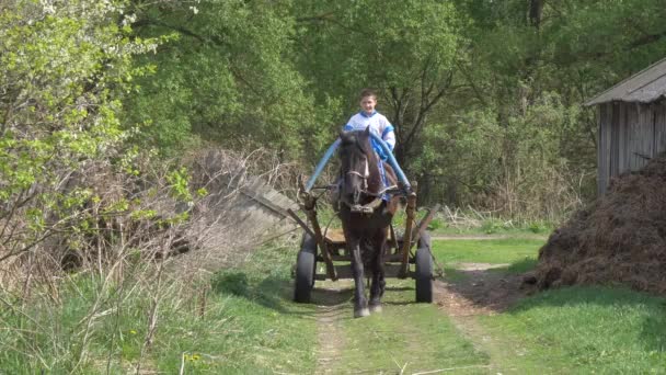 Gomel Bělorusko Květen 2019 Vesnici Derbichi Děti Jezdí Koni Tažené — Stock video