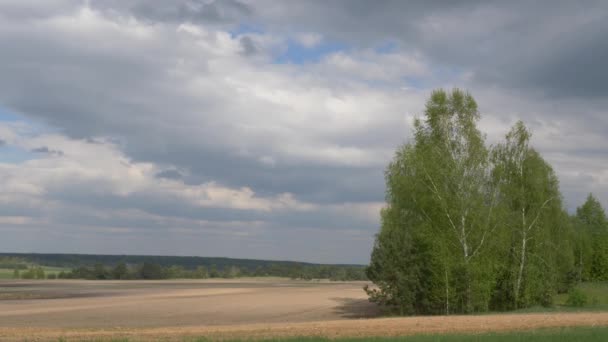 Schlechtwetterwolken Über Dem Frühlingsfeld — Stockvideo