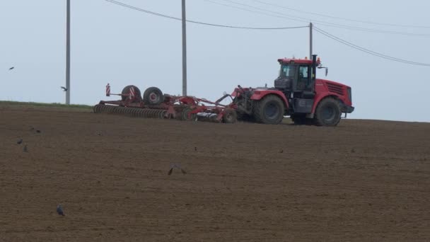 Gomel Bělorusko Květen 2019 Traktor Kultivuje Výsev Pole — Stock video