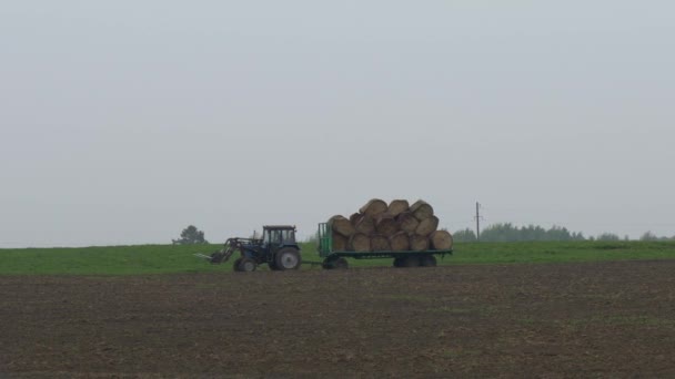 Gomel Belorusszia Május 2019 Traktor Vetési Mezőt Ápolja — Stock videók