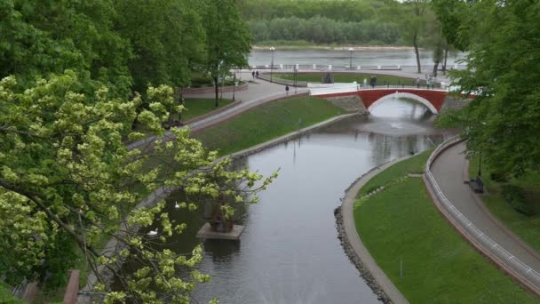 Gomel Vitryssland Maj 2019 Stadsparken Svansjön Med Fontän — Stockvideo