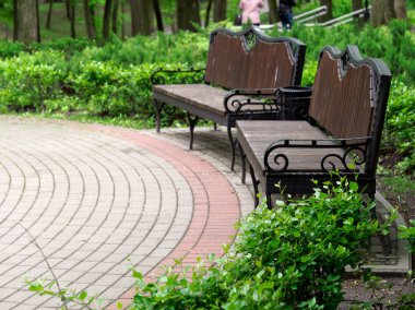 Şehir parkında güzel rahat banklar.