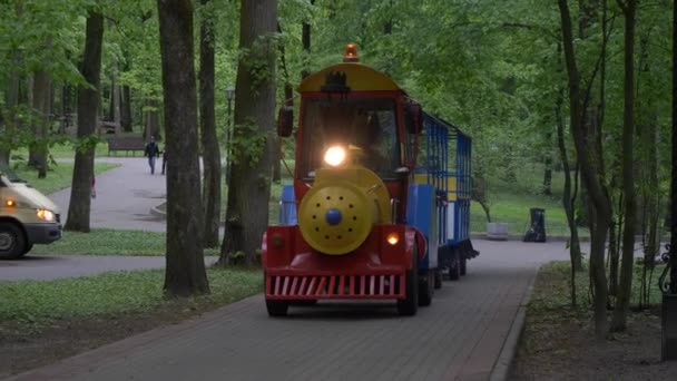 Gomel Belarus Mayo 2019 City Park Atracciones Infantiles — Vídeo de stock