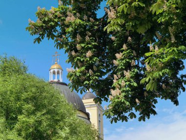 Gomel, Beyaz Rusya - 15 Mayıs 2019: Şehir Parkı. Peter ve Paul Katedrali.