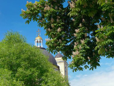 Gomel, Beyaz Rusya - 15 Mayıs 2019: Şehir Parkı. Peter ve Paul Katedrali.