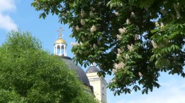 Gomel, Beyaz Rusya - 15 Mayıs 2019: Şehir Parkı. Peter ve Paul Katedrali.
