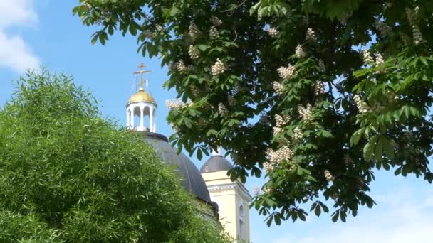 Gomel Wit Rusland Mei 2019 Stads Park Petrus Paulus Kathedraal — Stockvideo