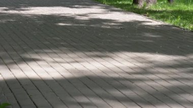 Gomel, Beyaz Rusya - 15 Mayıs 2019: Şehir Parkı. Peter ve Paul Katedrali.