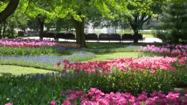 Gomel, Beyaz Rusya - 15 Mayıs 2019: Şehir Parkı. Rumyantsev Sarayı Kompleksi.