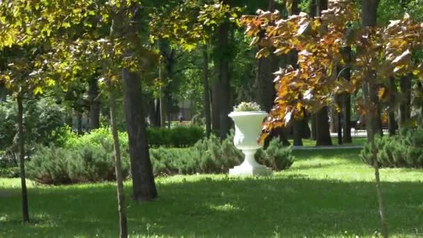 Gomel Belarus Maio 2019 Palácio Parque Conjunto Rumyantsevs Paskevichi Parque — Vídeo de Stock