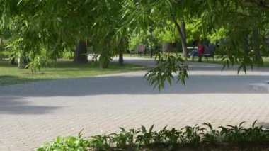 Gomel, Beyaz Rusya - 15 Mayıs 2019: Rumyantsevs Paskevichi'nin saray ve park topluluğu. Rahat yeşil park.