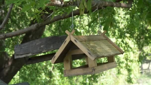 Mangeoire Pour Les Écureuils Les Oiseaux Dans Parc Municipal Gomel — Video