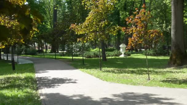 戈梅尔 白俄罗斯 2019年5月15日 鲁米扬采夫斯帕斯切维奇宫和公园合奏 舒适的绿色公园 — 图库视频影像